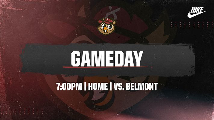 Multi-Format Splash Page (Color Streak)