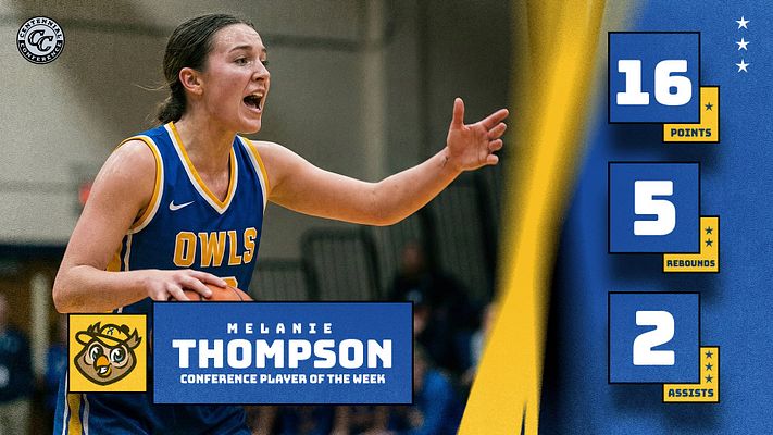 Player Stats (Wave Series)