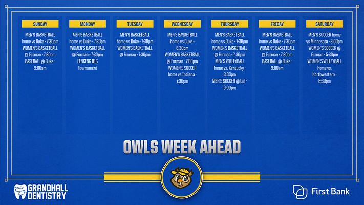 Schedule template with a blue background, featuring a grid layout for each day of the week. Includes columns for events and times, central logo, and sponsor logos at the bottom.