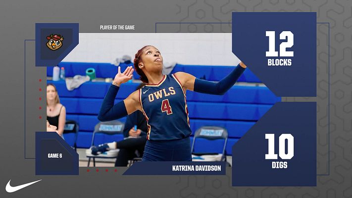 Multi-Format Player Stats (Trading Card)