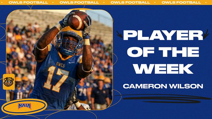 Player spotlight template with oval-shaped photo frame on left showing athlete in uniform, navy blue background, bold white text reading 'PLAYER OF THE WEEK' and player name on right, decorative oval design elements, and team logo placement. Available in landscape and portrait formats for social media.