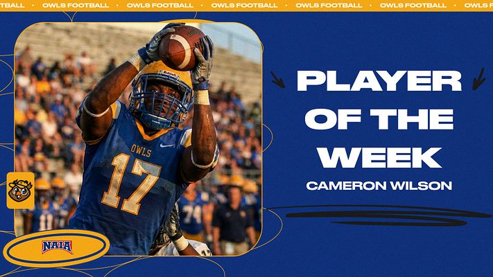 Quick-Hitter (Oval Series)