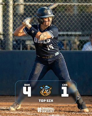 Basic Score (Flex Blur)