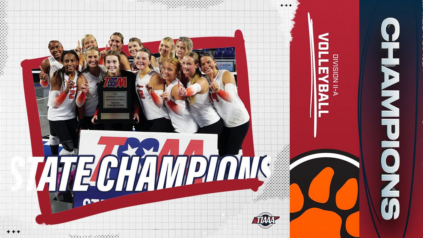 Real-world Multi-Format Champions 3 graphic