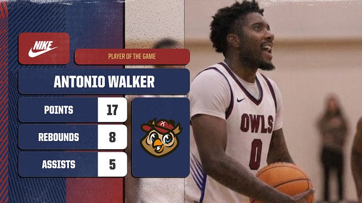 Multi-Format Player Stats (Frosted Glass)