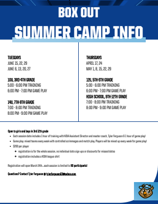 Information sheet template with portrait layout, featuring bold NIVA logo at top, schedule section for training and game times, and registration details in clear, organized text.