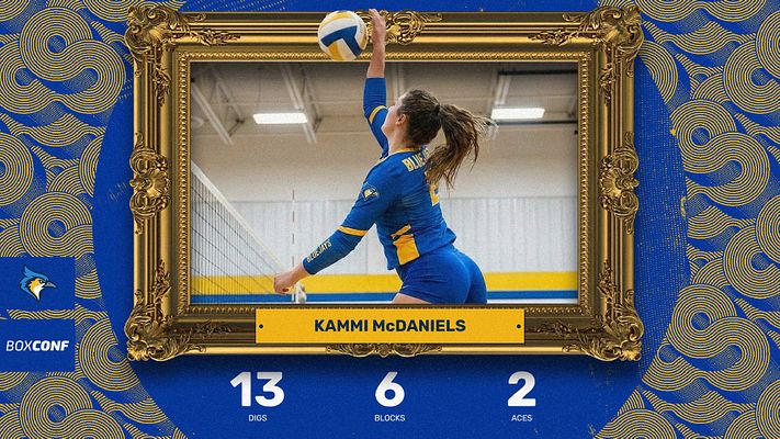 Multi-Format Stats (Frame Series)