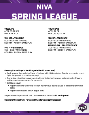Information sheet template with portrait layout, featuring bold NIVA logo at top, schedule section for training and game times, and registration details in clear, organized text.