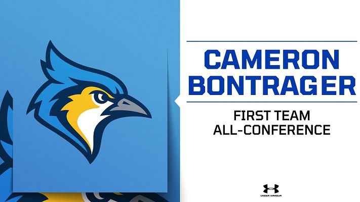 Headline/Announcement 2