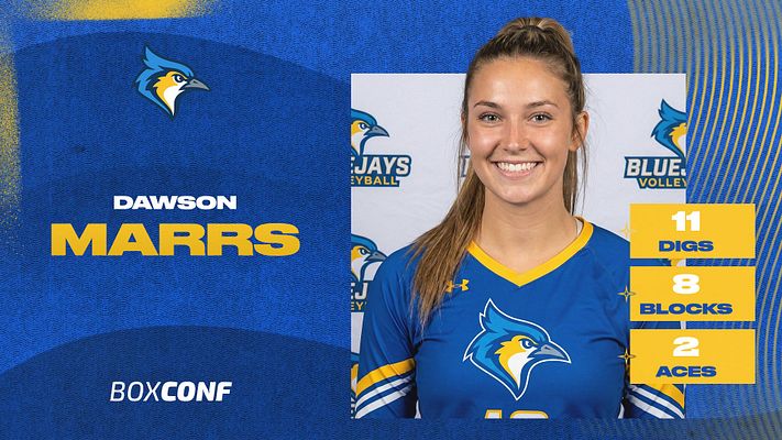 Multi-Format Stats (Horizon Series)