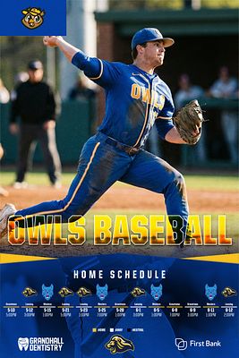 Vertical schedule poster template featuring a baseball player in blue uniform mid-throw, with team logo at top, bold yellow text banner for team name, and grid layout below displaying 12 game schedule boxes with dates and opponent logos