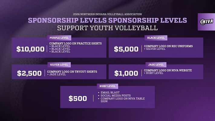 Sponsorship levels template featuring a purple background with tiered pricing structure for youth volleyball sponsorships. Sections for each level with logos and benefits listed clearly.
