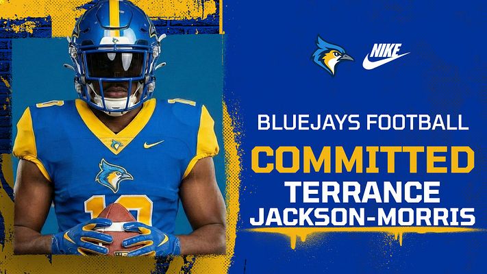 Player Spotlight (Paint Stroke Series)