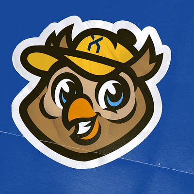 Social media profile combo template featuring cartoon owl mascot sticker with white border on blue background, includes square avatar and landscape banner formats for consistent branding across platforms