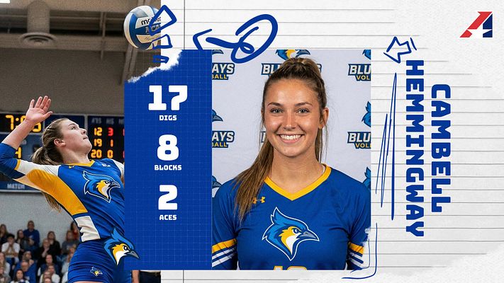 Multi-Format Stats (Sportfolio Series)