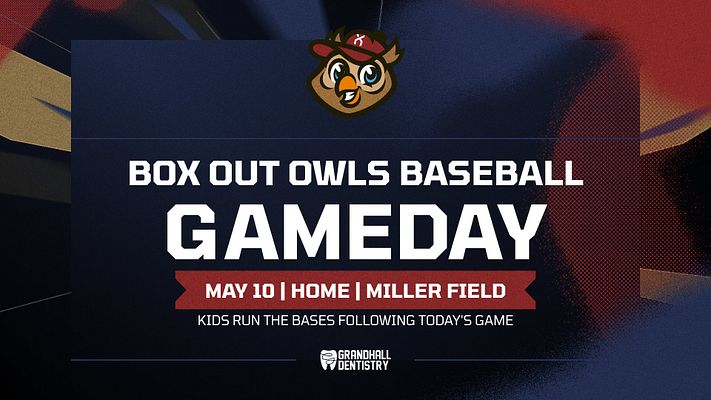 Information meeting template with a bold purple background, large text areas for event title and details, featuring the NIVA logo and volleyball graphic, designed for club announcements.