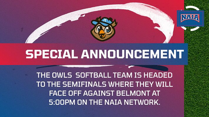 Special announcement template for baseball/softball with purple gradient background, white brush stroke accent, team logo at top, and large white text area for event details. Grass texture visible on right edge. Designed for landscape, Instagram, and story formats.