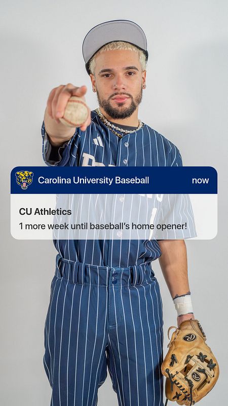 Real-world Phone Alert graphic