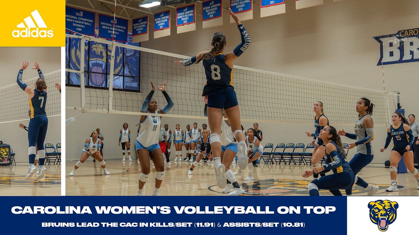Real-world Quick-Hitter (Dual Photo) graphic