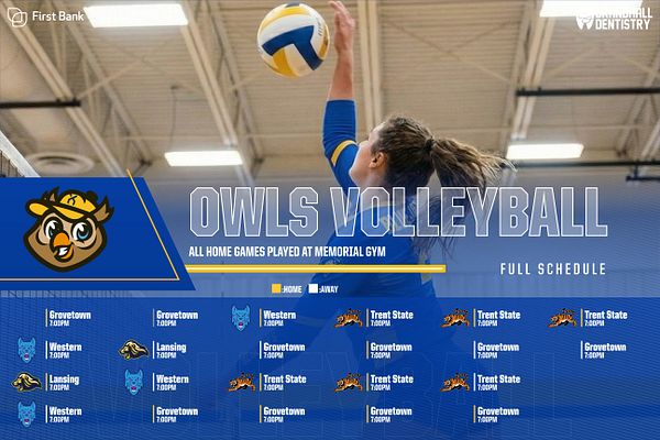 Horizontal volleyball schedule template with blue and gold color scheme, featuring team logo, live action volleyball photo, prominent title, and grid layout displaying multiple upcoming games organized by opponent teams and home/away designation