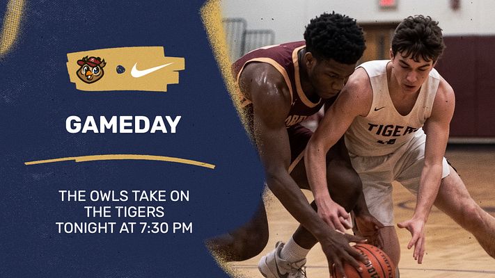 Game day template with navy and gold color scheme, featuring logo area and team name on left, large sports action photo on right, and text space for opponent and game details. Available in landscape and portrait formats for social media.