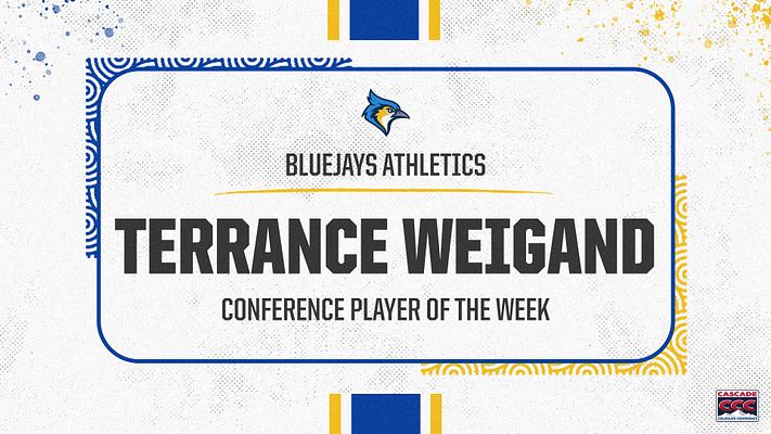 Multi-Format Quick-Hitter (Whisk Series)