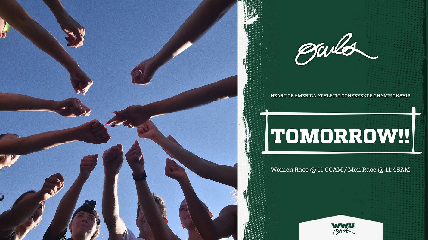 Real-world Photo Gameday (Shimmer) graphic
