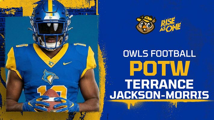 Quick-Hitter (Paint Stroke)