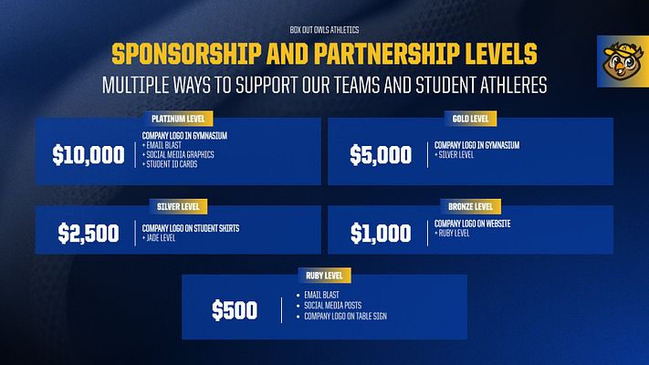 Sponsorship levels template featuring a purple background with tiered pricing structure for youth volleyball sponsorships. Sections for each level with logos and benefits listed clearly.