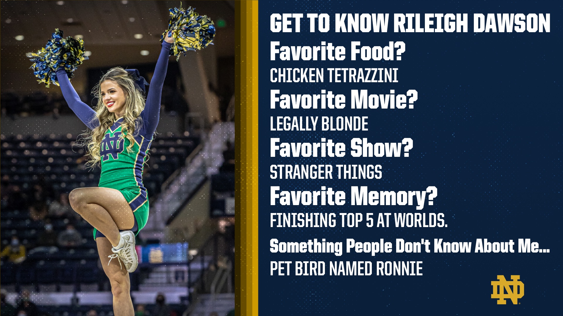 Cheerleading graphic template with a left photo area for an athlete holding pom-poms and multiple text lines on the right for fun Q&A details, featuring a navy and gold color scheme.